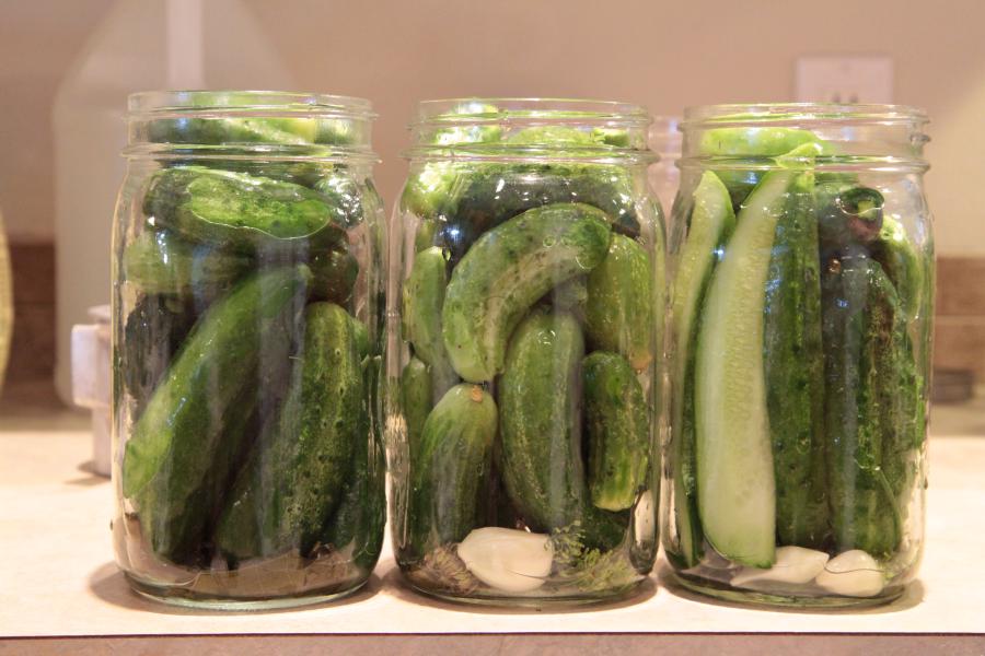pickles2.jpg