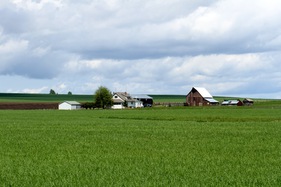 Formerly Wessels' Farm